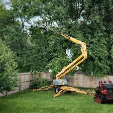  Beaver Creek, TX Tree Removal Pros
